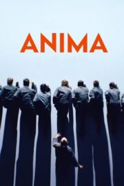 Anima
