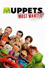 Muppet’lar Aranıyor