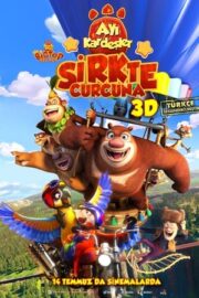 Ayı Kardeşler: Sirkte Curcuna