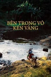 Bên trong vỏ kén vàng