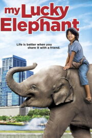 My Lucky Elephant